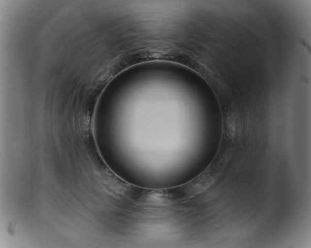 X0000099540657200805161429