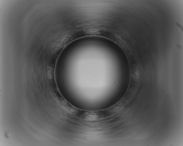 X0000099540658200805161429