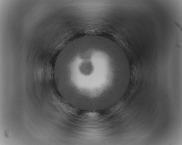 X0000099540659200805161429