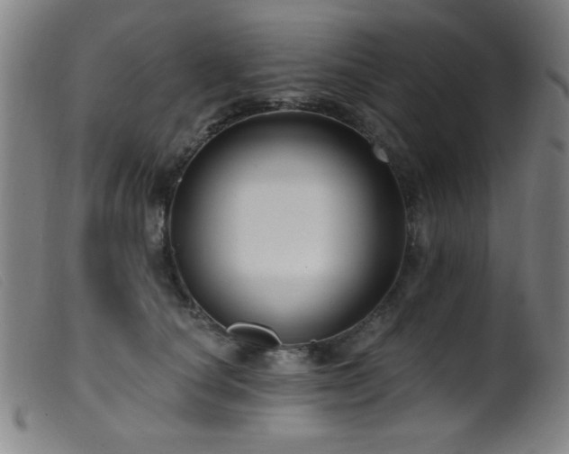 X0000099540660200805161429