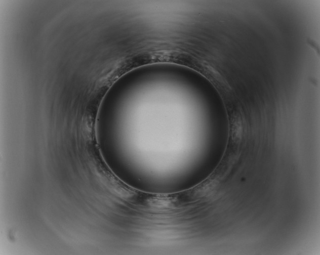 X0000099540661200805161429