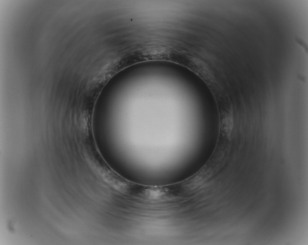 X0000099540662200805161429