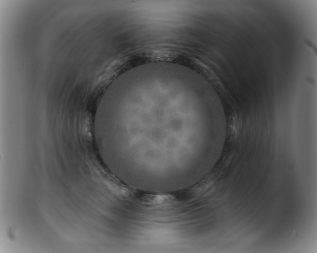 X0000099540663200805161429