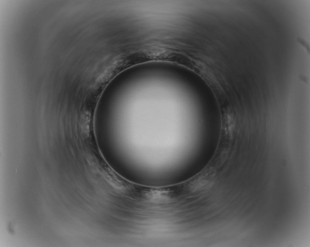 X0000099540664200805161429