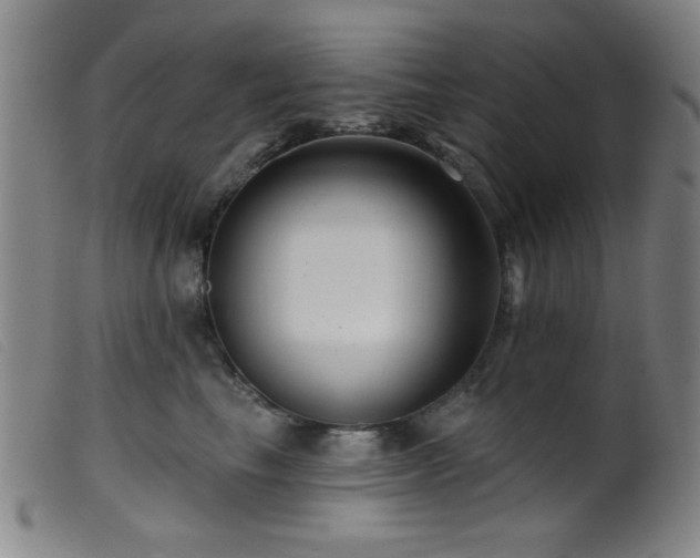 X0000099540665200805161429