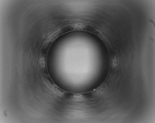 X0000099540666200805161429