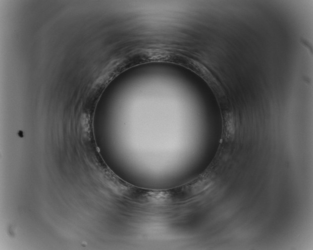X0000099540667200805161429