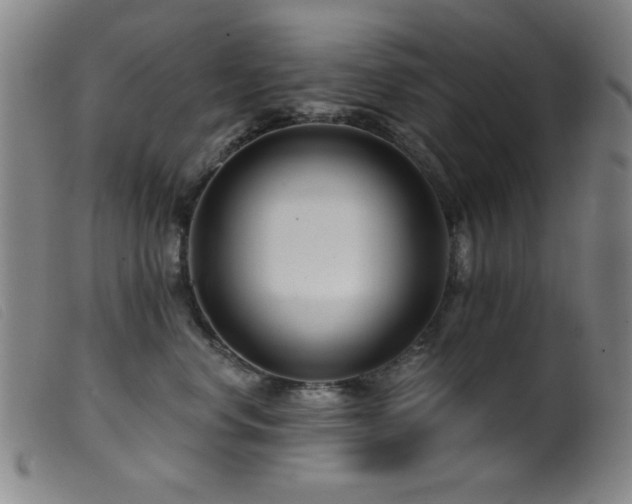 X0000099540668200805161429