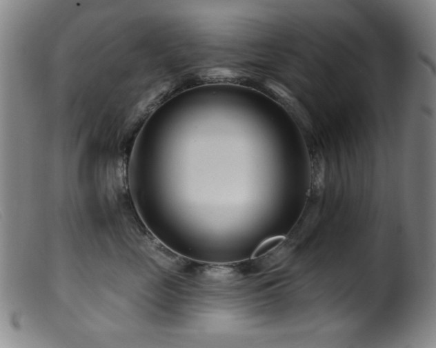 X0000099540669200805161429