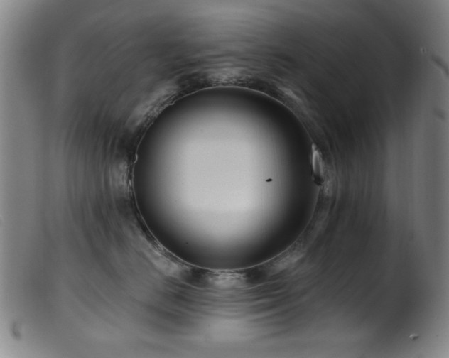 X0000099540670200805161429