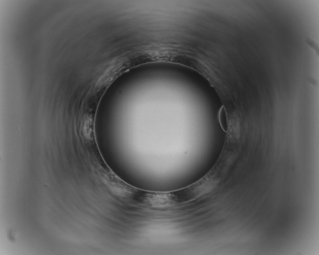 X0000099540671200805161429