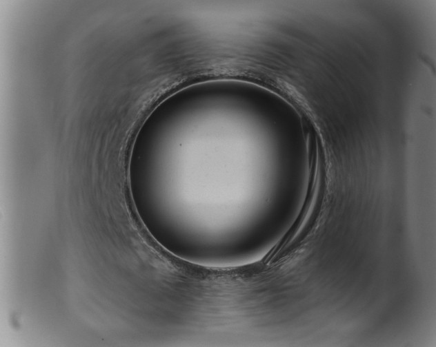 X0000099540673200805161428