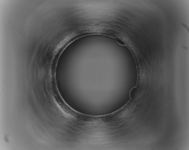 X0000099540674200805161428