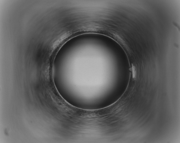 X0000099540675200805161428