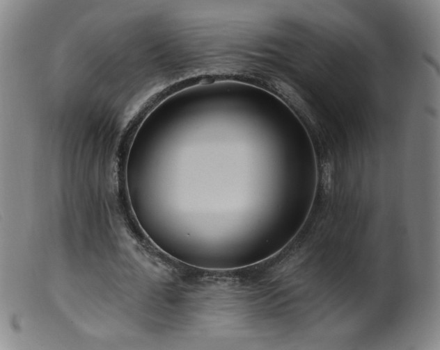 X0000099540676200805161428