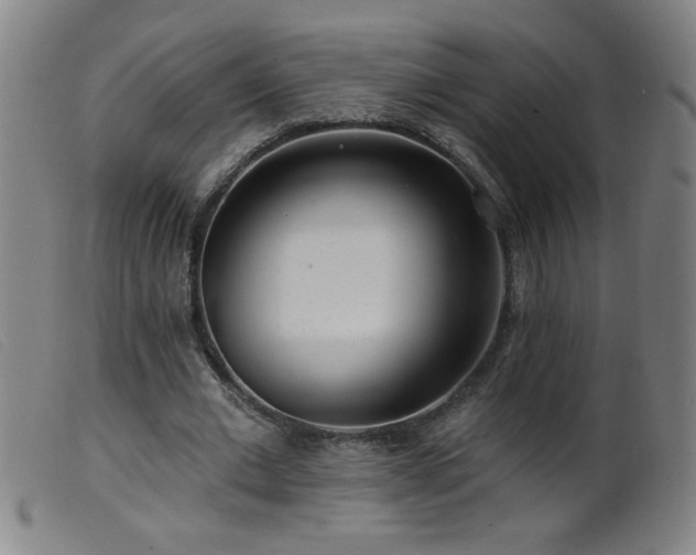 X0000099540677200805161428