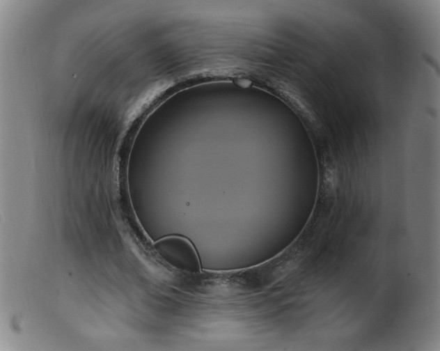 X0000099540678200805161428