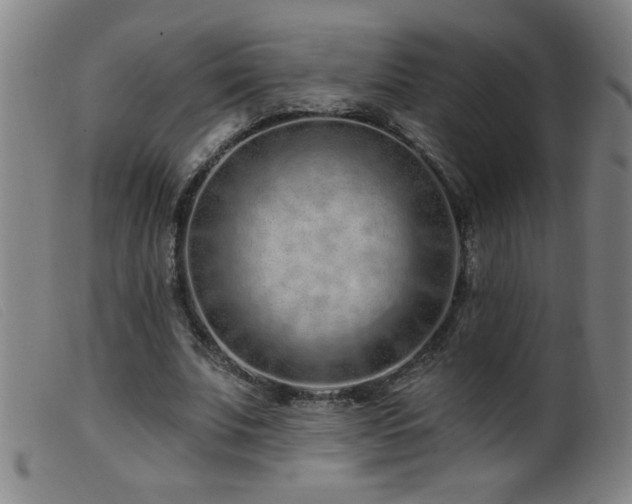X0000099540679200805161428