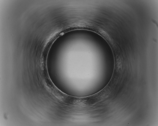 X0000099540680200805161428