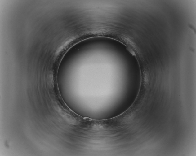 X0000099540684200805161428