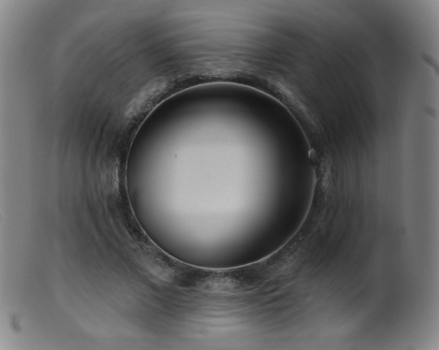 X0000099540685200805161428
