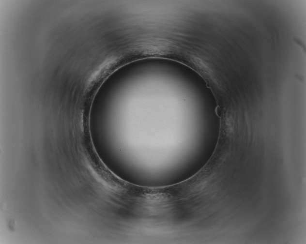 X0000099540686200805161428