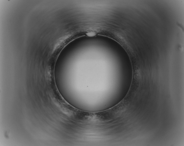 X0000099540688200805161428