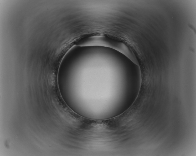 X0000099540689200805161428