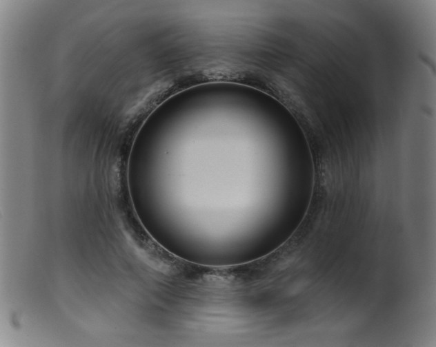 X0000099540690200805161428