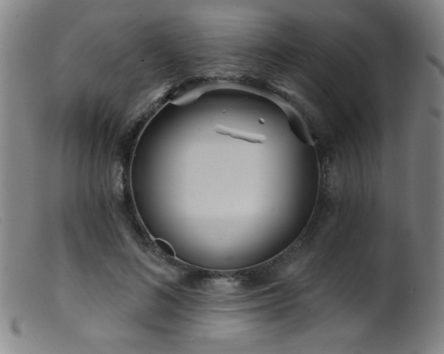 X0000099540692200805161428