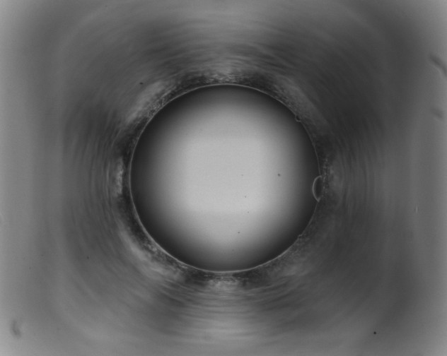 X0000099540694200805161428