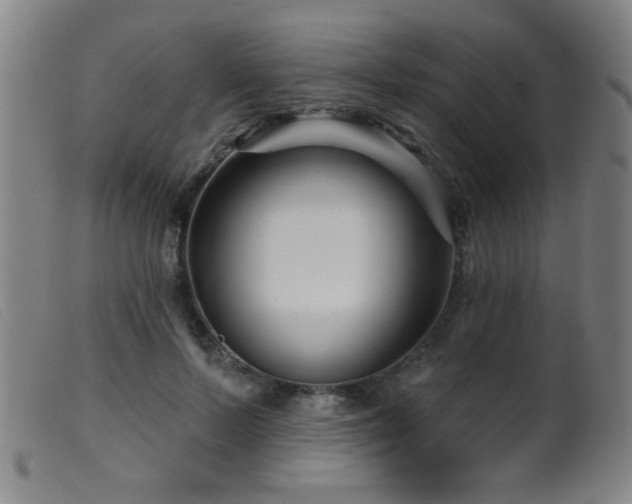 X0000099540695200805161428