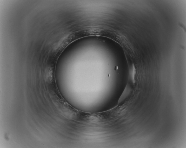 X0000099540697200805161428