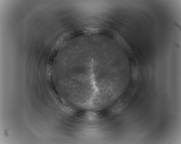 X0000099540701200805161428