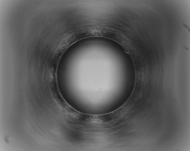 X0000099540702200805161428