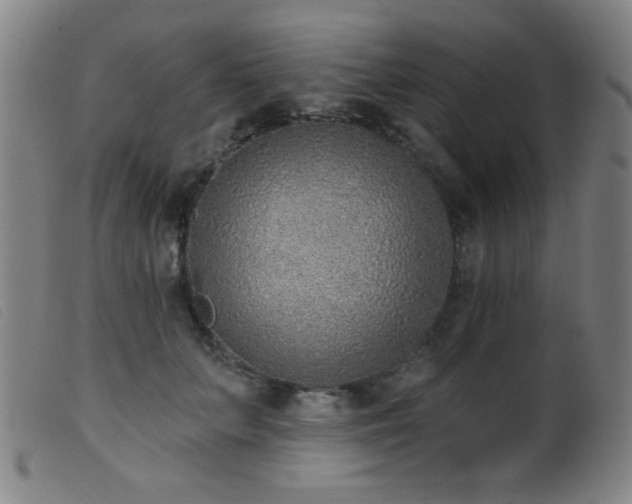 X0000099540703200805161428