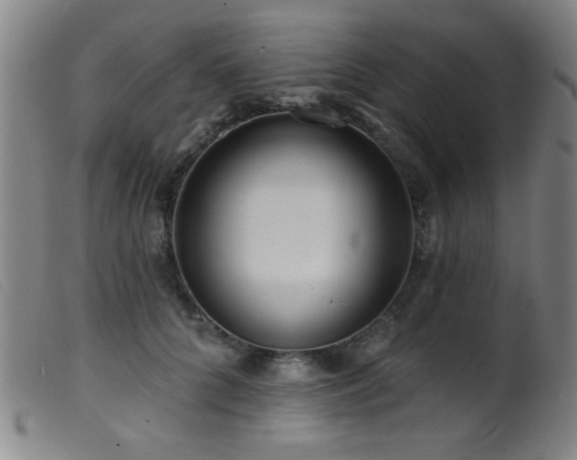 X0000099540704200805161428