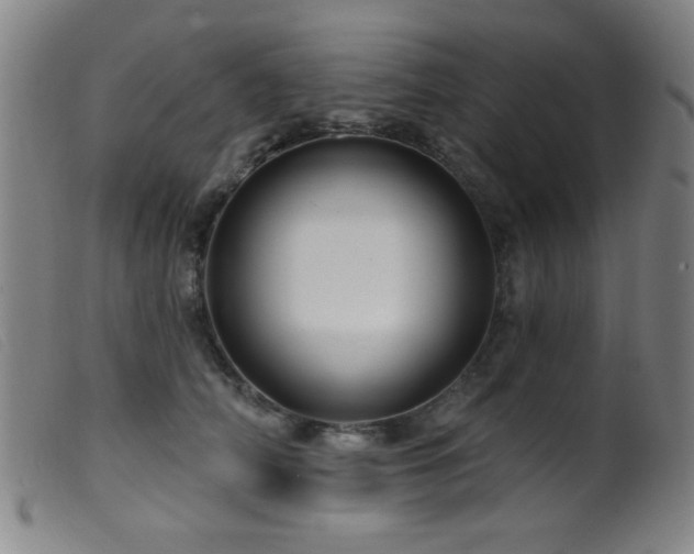 X0000099540706200805161428