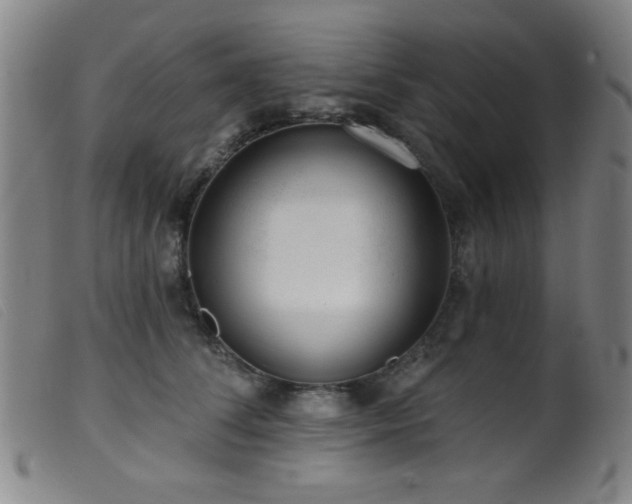 X0000099540708200805161428