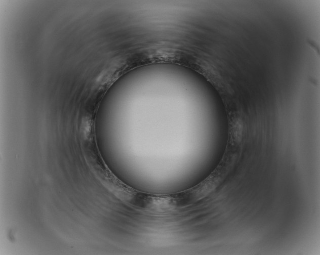 X0000099540709200805161428