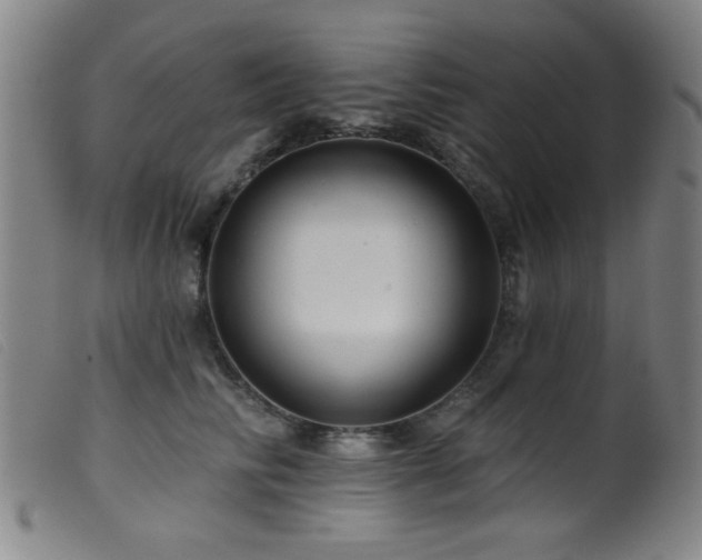 X0000099540710200805161428