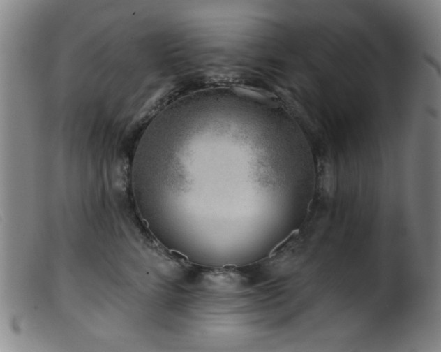 X0000099540712200805161428