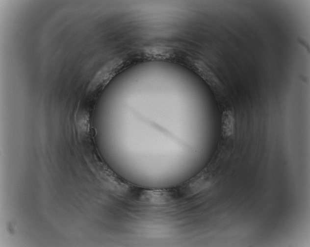 X0000099540713200805161428