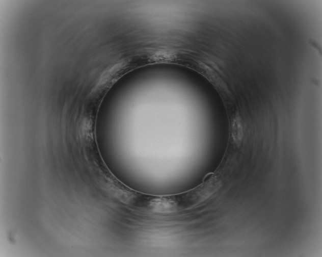 X0000099540714200805161428