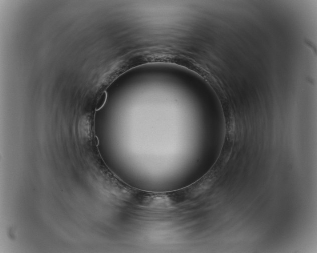 X0000099540715200805161428