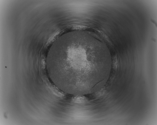 X0000099540716200805161428
