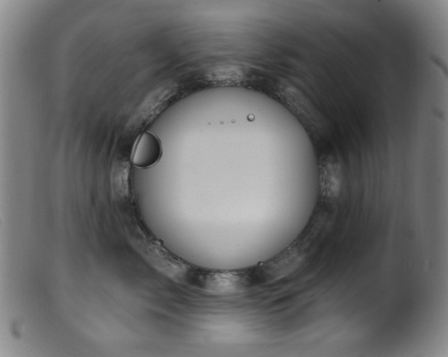 X0000099540717200805161428