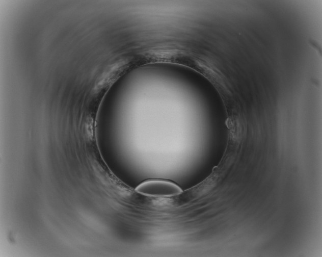 X0000099540718200805161428