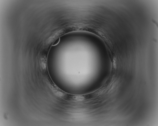 X0000099540719200805161428