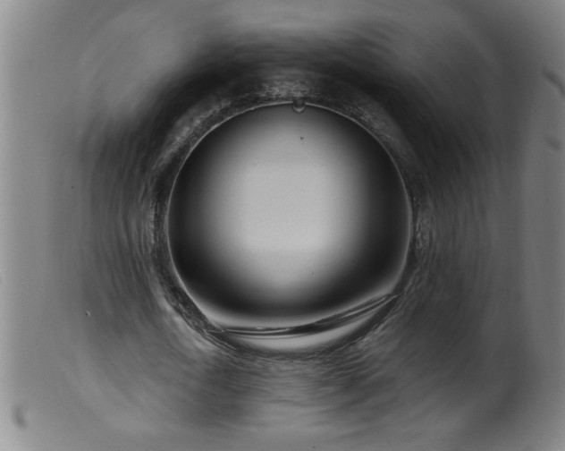 X0000099540722200805161427